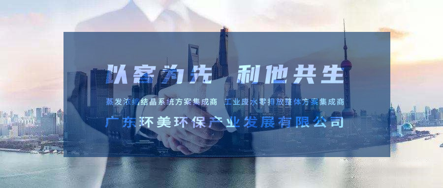 廣東環美